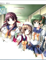 四叶草 よつのは 汉化硬盘版【509】