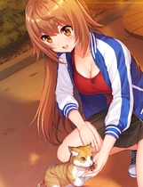 A0010 - 偶像日 免安装绿色中文版[1.02GB]