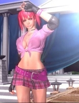 PS2游戏 搏击玫瑰 Rumble Roses 日版【002】迅雷百度微云网盘高速下载地址