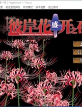 彼岸花盛开之夜 第一夜 彼岸花の咲く夜に 第一夜汉化硬盘版【485】