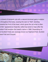 A0937 - 猫姑娘喵喵岛3 Miss Neko 3 Build.10093506+DLC 免安装STEAM中文版[819MB]