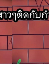 A1306 - 墙上的另一个女孩 Another girl in the wall [PC+安卓] 中文汉化版[180MB]