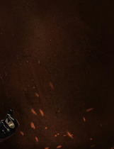 A0579 - 莉莉丝崛起-第一季 Build.12279014-1.0.2S+DLC 多结局免安装STEAM中文版[2.51GB]